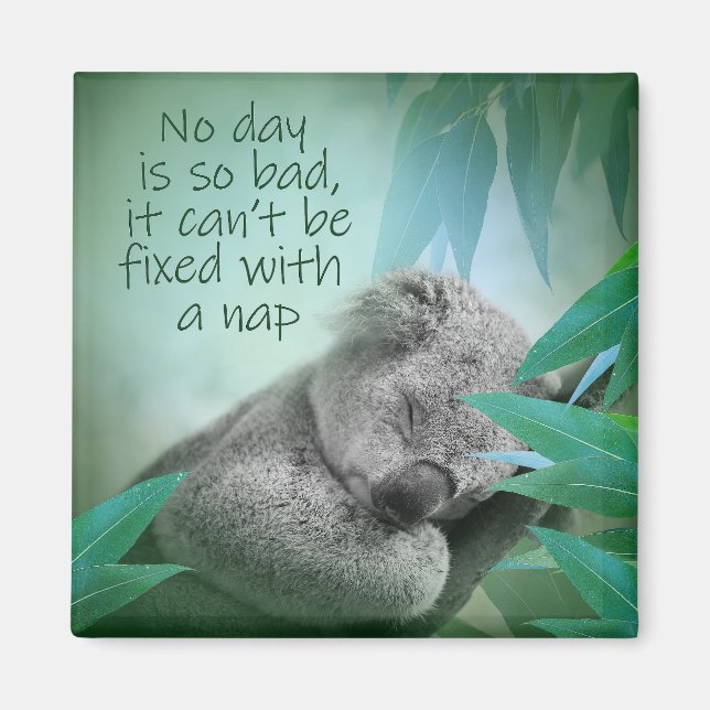 Koala Nap Magnet (Front)