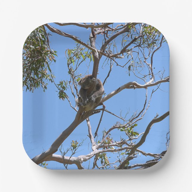 Koala Nap Paper Plate (Front)