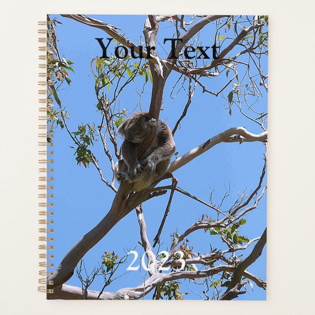 Koala Nap Planner (Front)