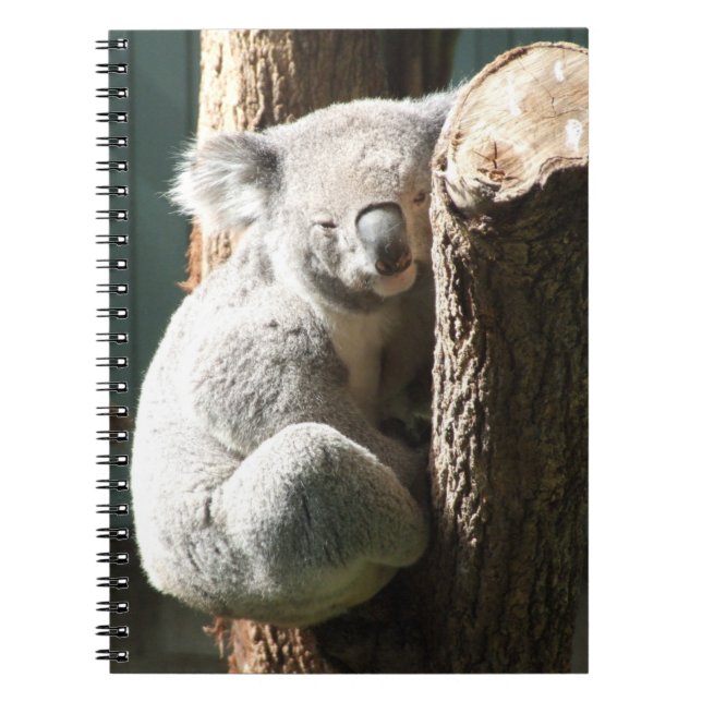 Koala Notebook (Front)