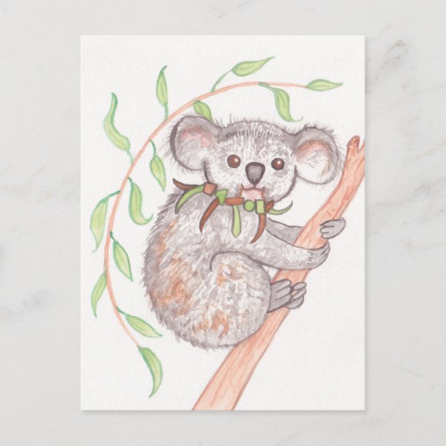 Koala on Tree Branch Postcard (Front)