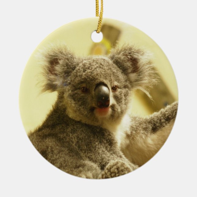 Koala Ornament (Front)