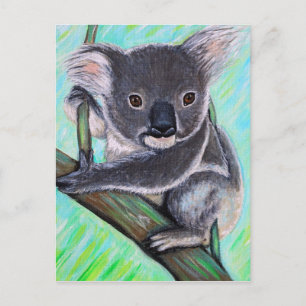 Koala Painting Postcard