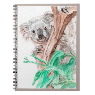 Koala, Peek-a-Boo Notebook