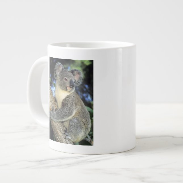 Koala, Phascolarctos cinereus), Australia, Large Coffee Mug (Front Left)
