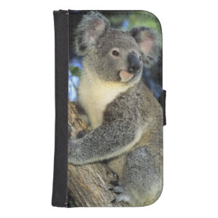 Koala, Phascolarctos cinereus), Australia, Samsung S4 Wallet Case