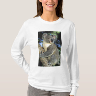 Koala, Phascolarctos cinereus), Australia, T-Shirt