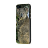 Koala, Phascolarctos cinereus), endangered, Incipio iPhone Case (Left)