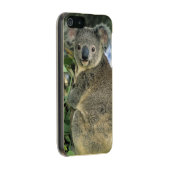 Koala, Phascolarctos cinereus), endangered, Incipio iPhone Case (Right)