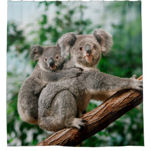Koala, phascolarctos cinereus, Female carrying You Shower Curtain