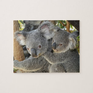 Koala Phascolarctos cinereus Queensland . Jigsaw Puzzle