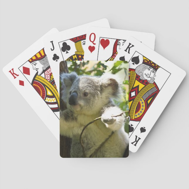 koala playing cards (Back)