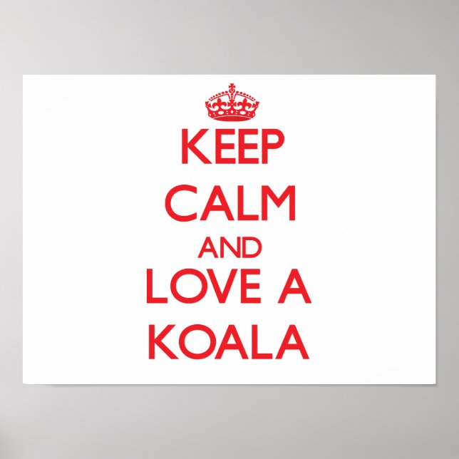 Koala Poster (Front)