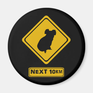 koala road sign magnet