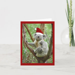 Koala Santa Christmas Card