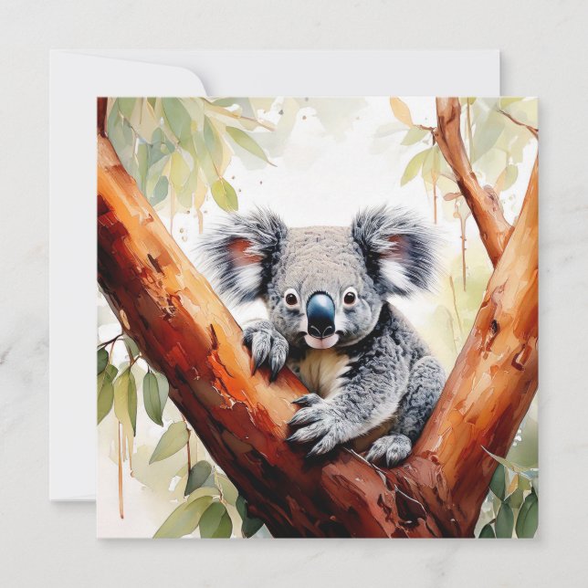 Koala Sitting in a Gum tree Card (Front)