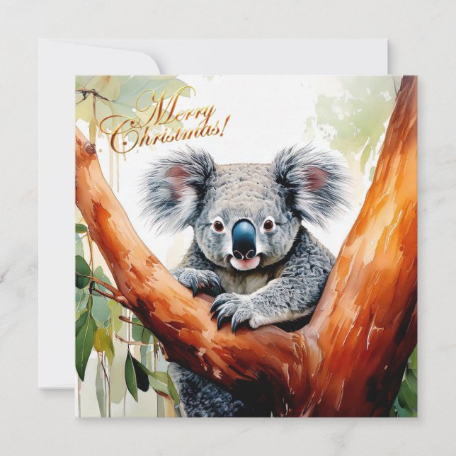 Koala Sitting in a Gum tree Merry Christmas Holiday Card (Front)