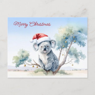 Koala Sitting in a Gum tree Merry Christmas Holiday Postcard