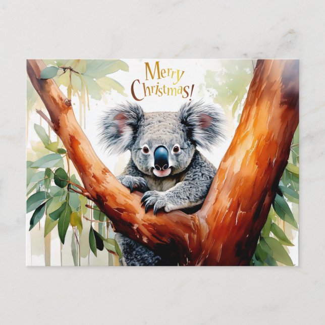 Koala Sitting in a Gum tree Merry Christmas Holiday Postcard (Front)