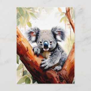 Koala Sitting in a Gum tree Postcard