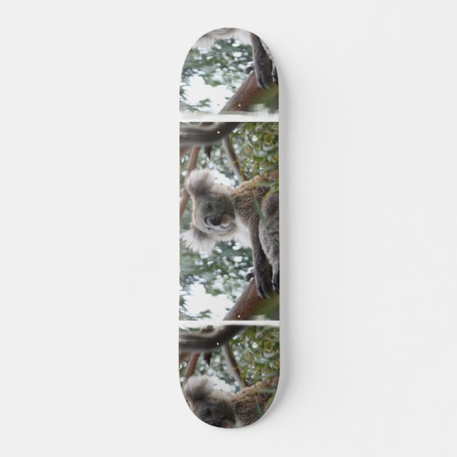 Koala Skateboard (Front)