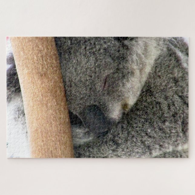 koala sleep jigsaw puzzle (Horizontal)
