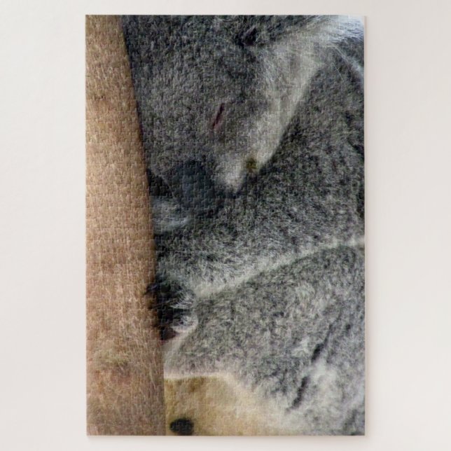 koala sleep jigsaw puzzle (Vertical)