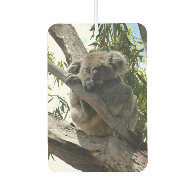 Koala - Sleeping  Car Air Freshener (Front)