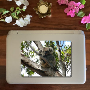 Koala - Sleeping  Classic Round Sticker