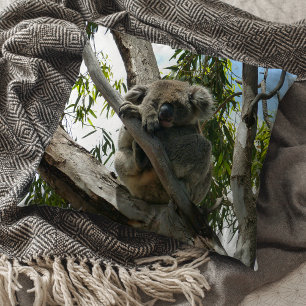 Koala - Sleeping Cushion