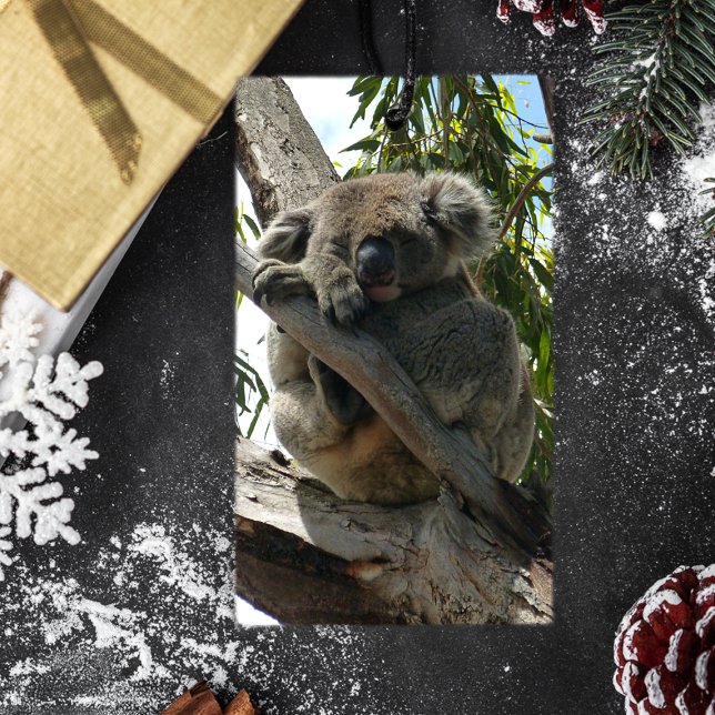 Koala - Sleeping Gift Tags (Creator Uploaded)