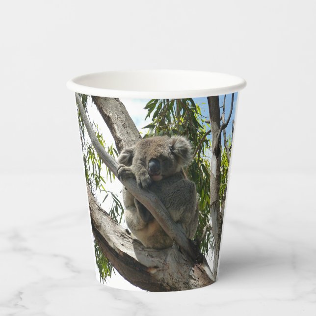 Koala - Sleeping Gift Tags Paper Cups (Front)