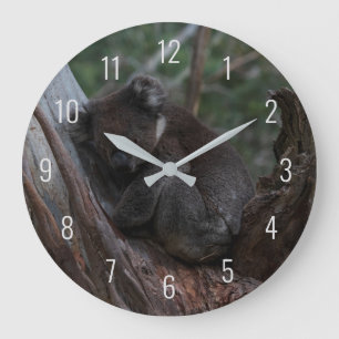 Koala Sleeping in a Tree Australia Large Clock