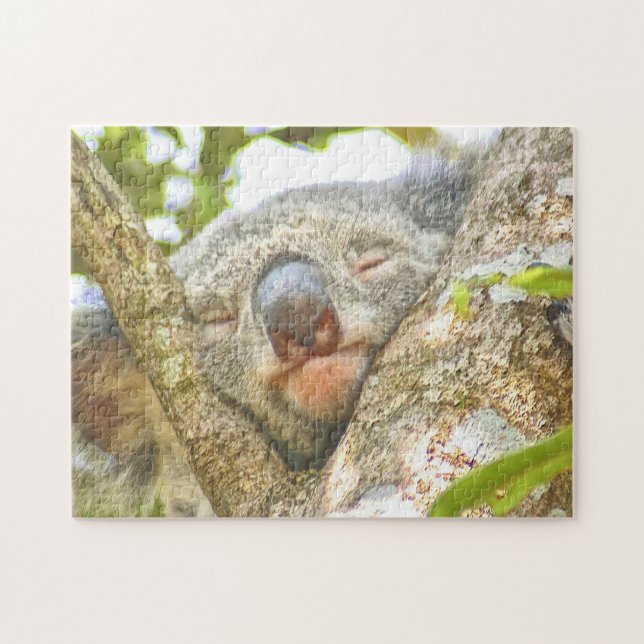 Koala Sleeping Jigsaw Puzzle (Horizontal)