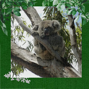 Koala - Sleeping  Jigsaw Puzzle