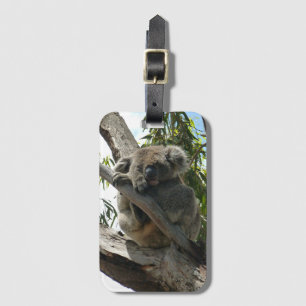 Koala - Sleeping Luggage Tag