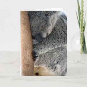 koala sleepy card