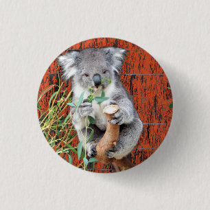 Koala Snack Time Badge
