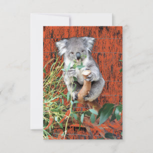 Koala Snack Time Card