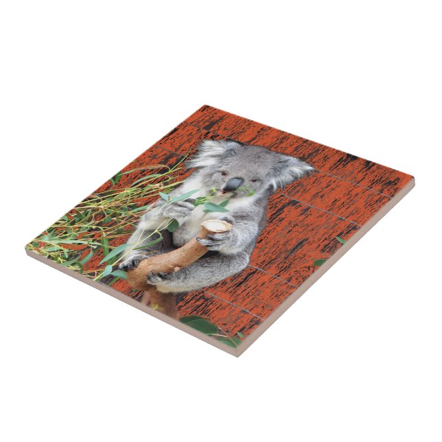 Koala Snack Time Ceramic Tile (Side)