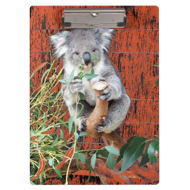 Koala Snack Time Clipboard (Front)