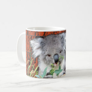 Koala Snack Time Coffee Mug