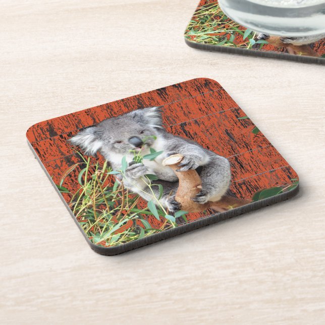 Koala Snack Time Hard Plastic Coasters (Left Side)