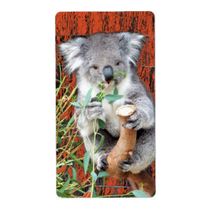 Koala Snack Time Return Address Label