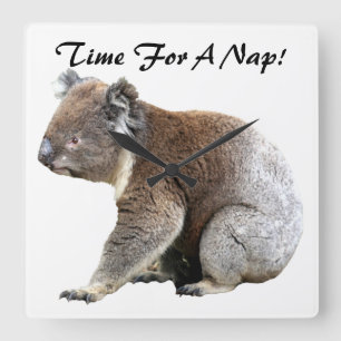 Koala Square Wall Clock