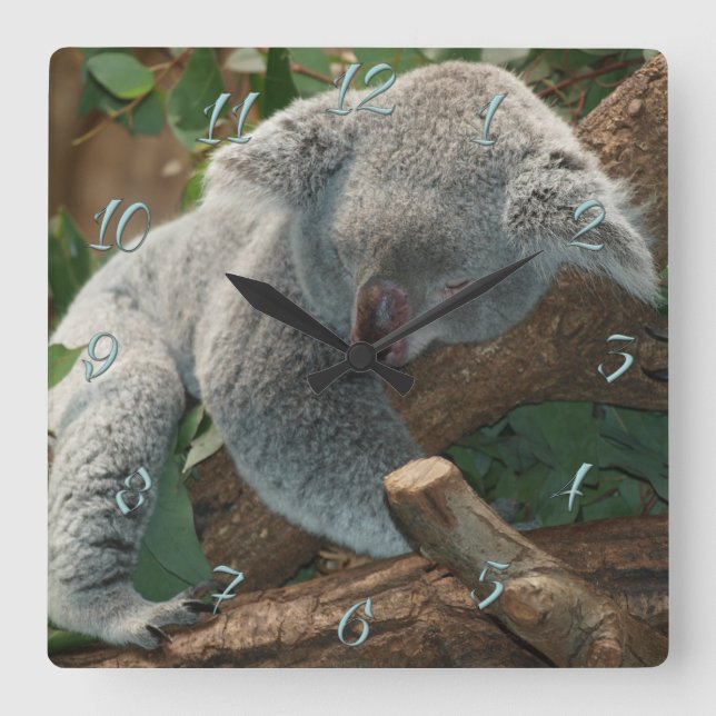 Koala Square Wall Clock (Front)