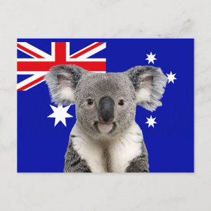 Koala with Australian Flag Background    Postcard