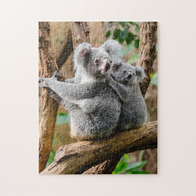 Koala with Baby in a Tree in Australia Jigsaw Puzzle (Vertical)