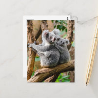 Koala with Baby in a Tree in Australia