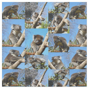 "Koala Wonders: A Heartwarming Photo Collage" Fabric